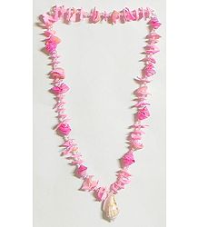 Painted Shell Necklace in Pink 