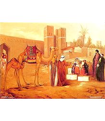 Desert Scene