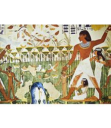 Offering of Calf and Bulls (From an Egyptian Painting)