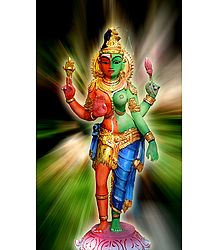 Ardhanarishvara - Shiva and Shakti - Photo Print