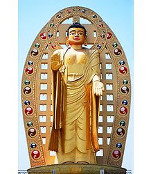 Lord Buddha, Dehradun - Uttarakhand