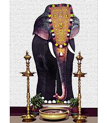 Decorated Mysore Elephant