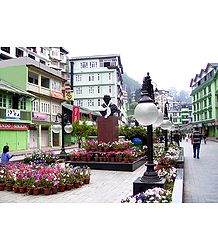 M.G Road Market During Spring, Gangtok - East Sikkim, India