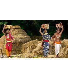 Hay Collecter Photo - Unframed Photo Print on Paper