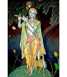 Lord Krishna