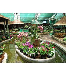 Namgyal Memorial Park, Gangtok - East Sikkim, India