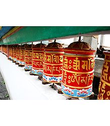 Prayer Wheels at Rumtek Monastery -  East Sikkim, India