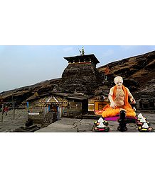 Priest Performing Puja Picture - Unframed Photo Print on Paper