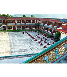 Students in Ranka Monastery - East Sikkim, India