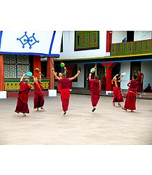 Monks at Rumtek Monastery - East Sikkim, India