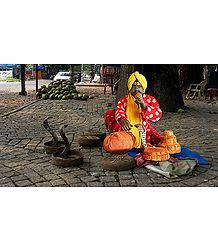 Snake Charmer Photo - Unframed Photo Print on Paper