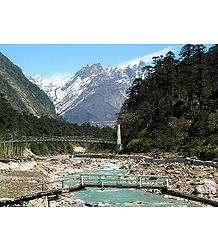 Foot Bridge to Yumthang Hotspring - North Sikkim, India