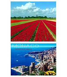 Tulip Field in Holland and Monaco - Set of 2 Postcards