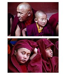 Buddhist Monks from Leh - Set of 2 Postcards
