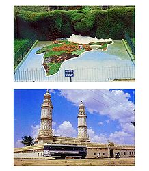 Jama Masjid and Botanical Garden, Ooty  - Set of 2 Postcards