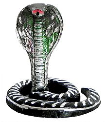 Snake of Shiva