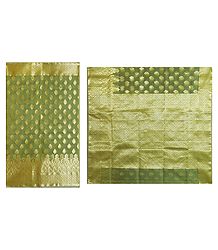 Light Green with Golden Tissue Saree with Border and Pallu