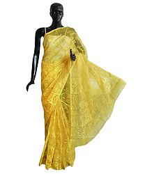 Weaved Yellow Design All-Over on Yellow Cotton Dhakai Saree with Border and Pallu