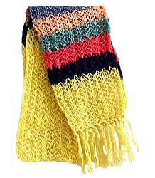 Light Yellow Scarf with Multicolor Border