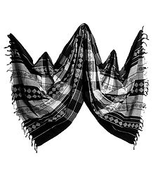 Black and White Orissa Bomkai Cotton Stole with All-Over Weaved Design