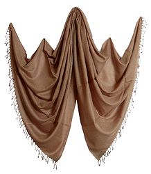 Light Brown Kullu Pashmina Shawl from Himchal Pradesh