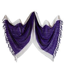 Purple Woolen Stole with White Border