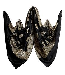 Black Light Woolen Shawl with Gorgeous Border