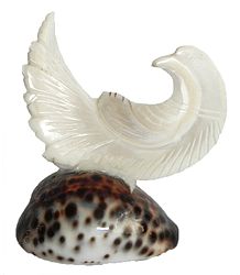 Mother of Pearl Pigeon on Cowrie