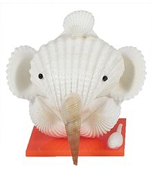Shell Ganesha