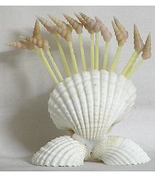 Toothpick Holder with Toothpicks