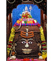 Rudraksha Shivalinga, Dehradun, Uttarakhand