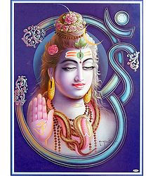 Shiva on Om