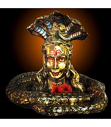 Golden Shivalinga, Dehradun, Uttarakhand