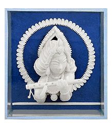 Shola Pith Krishna
