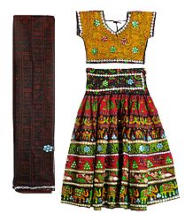 Multicolor Embroidery on Cotton Lehenga Choli with Dupatta and Elaborate Sequin Work