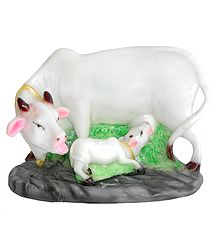 Sacred Cow with Calf