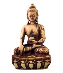 Buddha with Carved Robe in Bhumisparsha Mudra