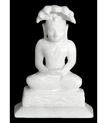 Parshwanath - the Twenty Third Jain Teerthankar