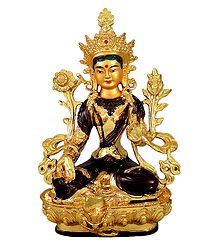 White Tara - The Mother of all Buddhas