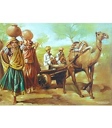 The Dry Land of Rajasthan