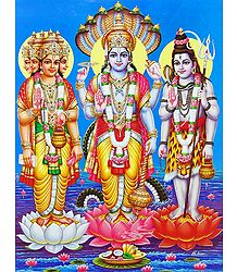 Trinity - Brahma, Vishnu, Shiva