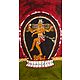 Nataraja - Cosmic Dancer Shiva