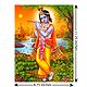 Murlidhar Krishna