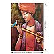 Bird Lover Krishna
