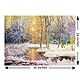 Winter Landscape
