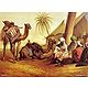 European Beauties and Camels with Merchants - Set of 4 Posters