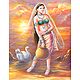 Indian Beauties and Sufi Singer - Set of 4 Posters