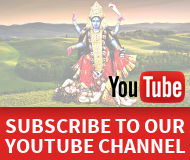 Our Youtube video collection